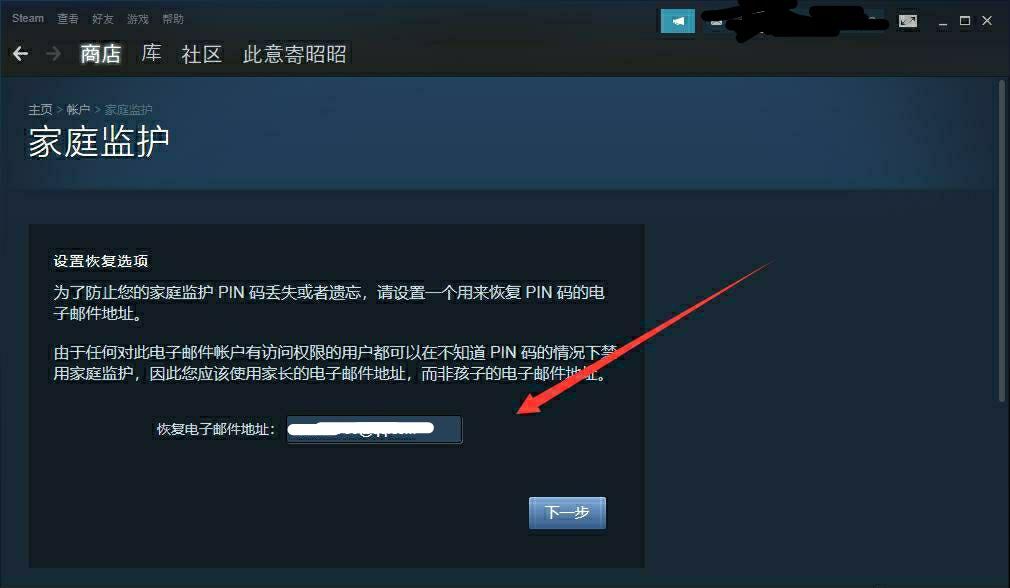 steam密码怎么设置才合格（steam密码要求，必看的防盗小知识） 第13张