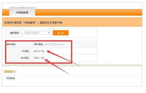 puk码怎么查询（自助查询PUK码方法） 第5张