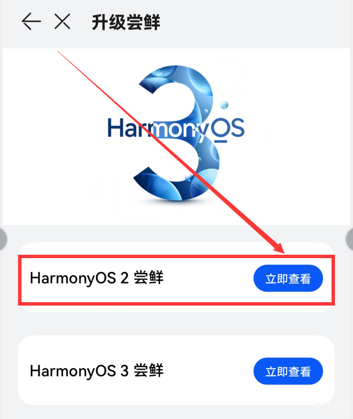 怎么更新鸿蒙系统（把华为手机升级到鸿蒙系统的方法） 第11张