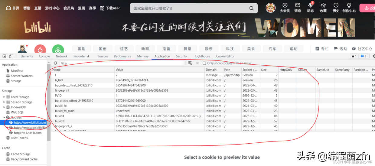 cookies是什么意思（cookie全面讲解） 第1张