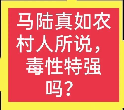 马陆虫怎么彻底消灭（马陆虫彻底解决妙招推荐） 第1张