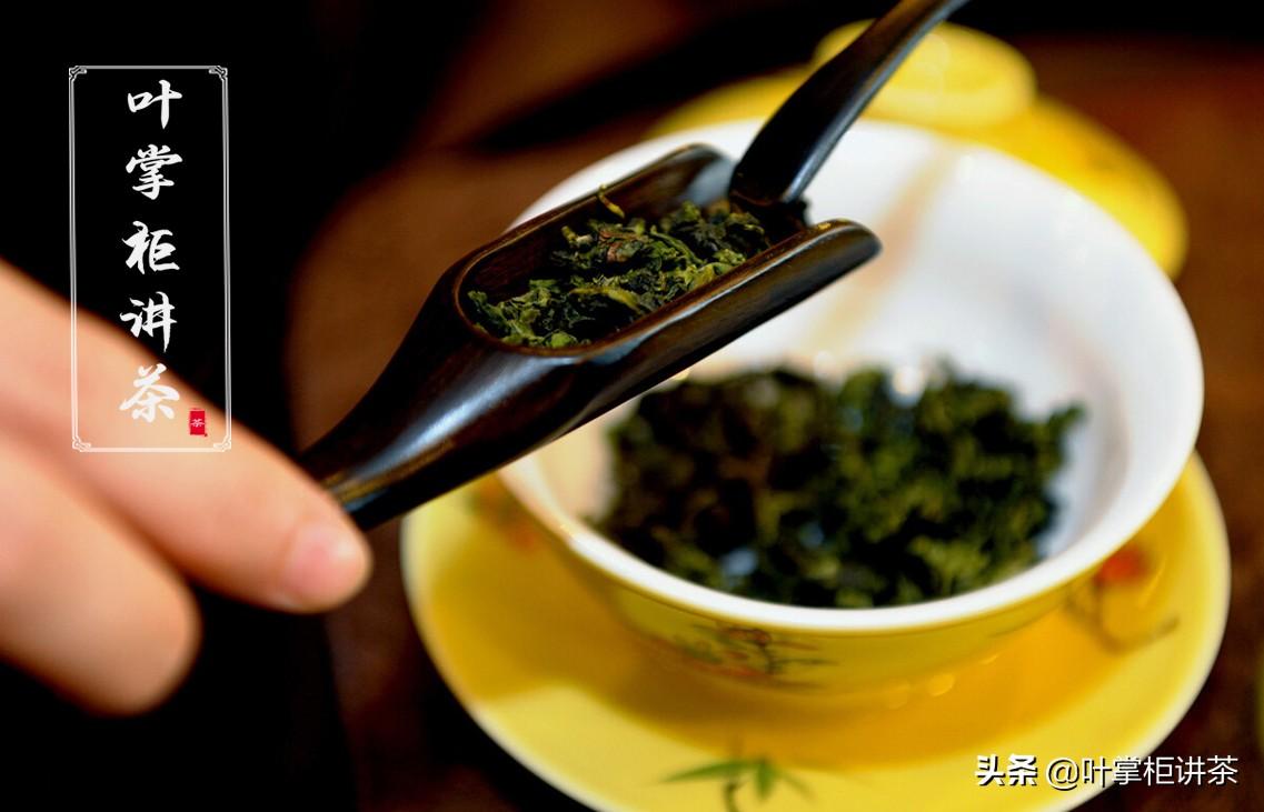 铁观音是什么茶？是介于绿茶与红茶之间的一种茶 第1张