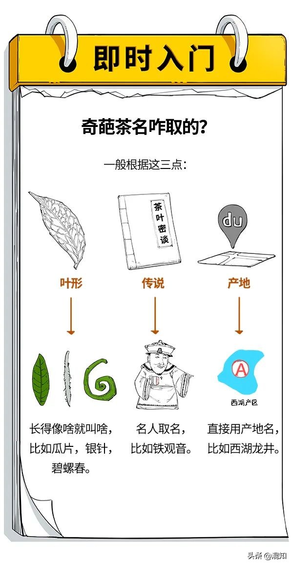 一口气搞懂中国十大名茶：五花八门的茶名，都是咋取的？ 第9张