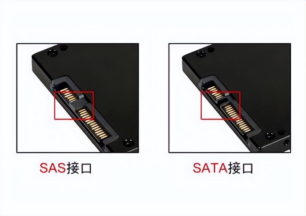 硬盘sas与sata的区别（sas硬盘sata盘的区别） 第1张