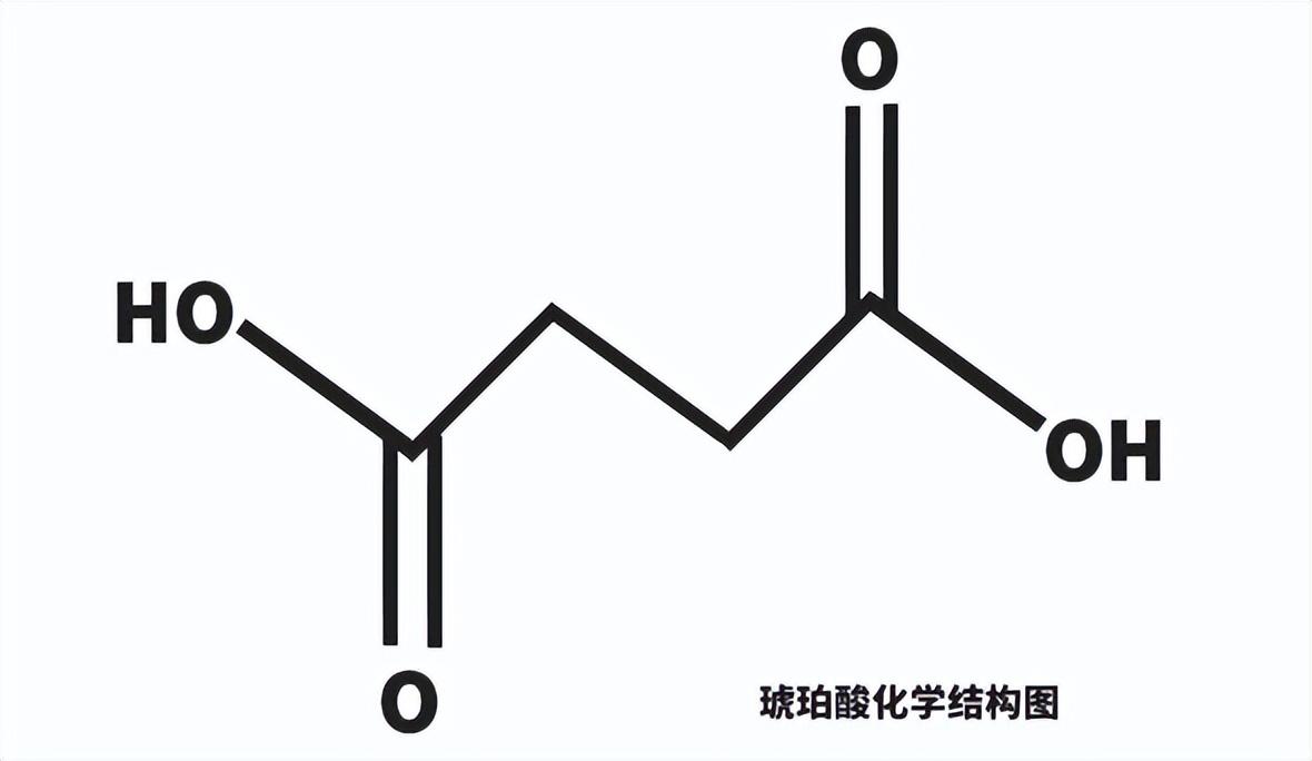 戴尔商务办公笔记本哪款好（戴尔Latitude 7530推荐） 第3张