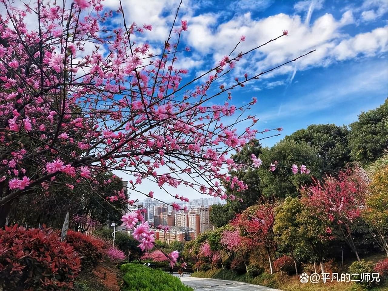 郴州旅游攻略景点必去（郴州最值得玩的七个美景） 第19张