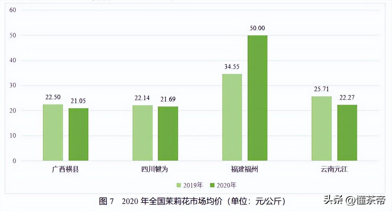 茉莉花茶哪个产地最好（如何挑选茉莉花茶） 第3张