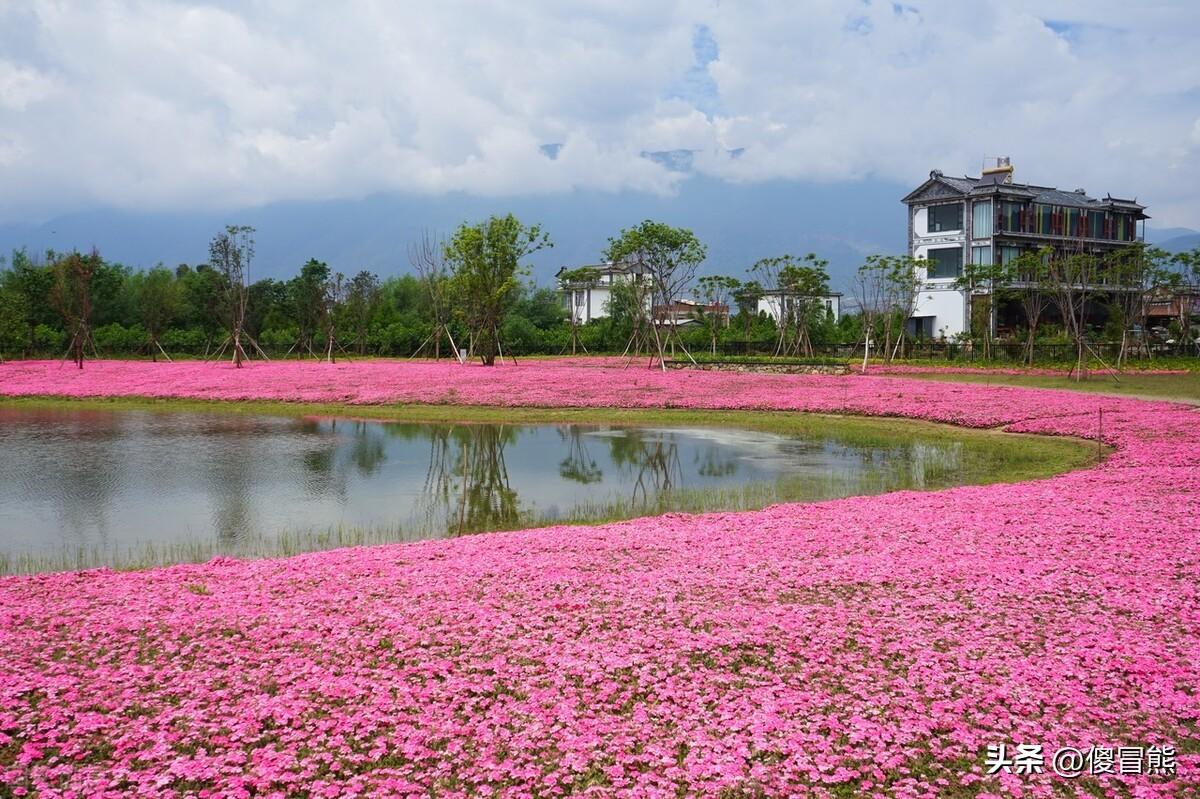 大理古城必去四个景点（大理旅游最值得去玩的四个地方） 第3张