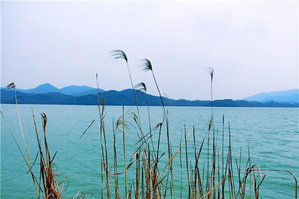 浙江莫干山，有江南第一山的美誉，是四大避暑胜地之一 第3张