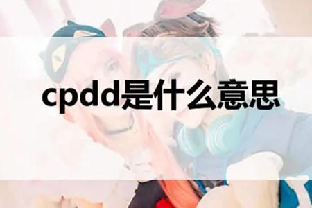 女生说CPDD是什么意思？是找伴侣的意思吗？ 第1张