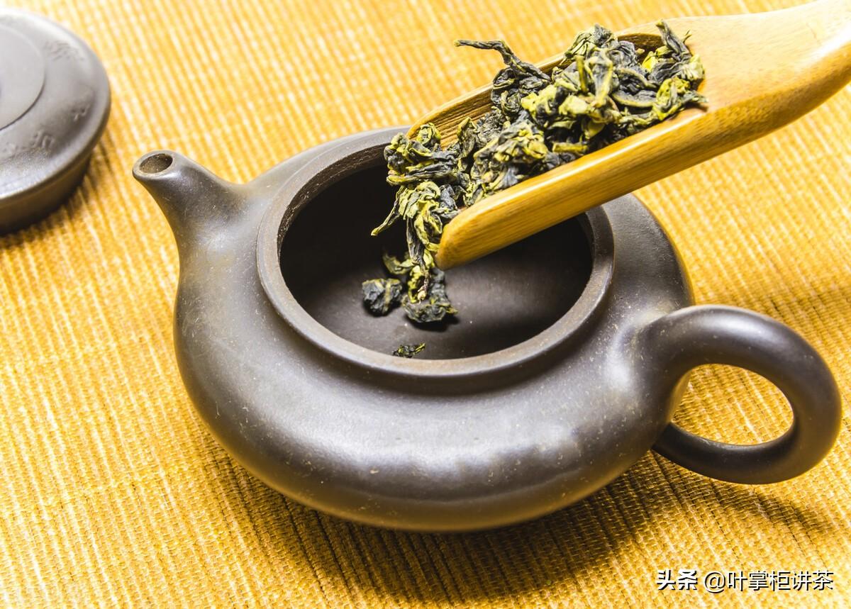 铁观音是什么茶？是介于绿茶与红茶之间的一种茶 第11张