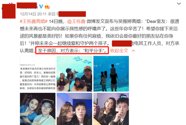 王栎鑫为什么离的婚？知情人曝离婚原因:女方家暴男方 第21张