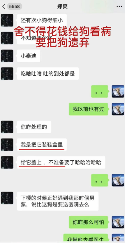 郑爽事件怎么回事？到底是什么造就了今天的郑爽？ 第11张