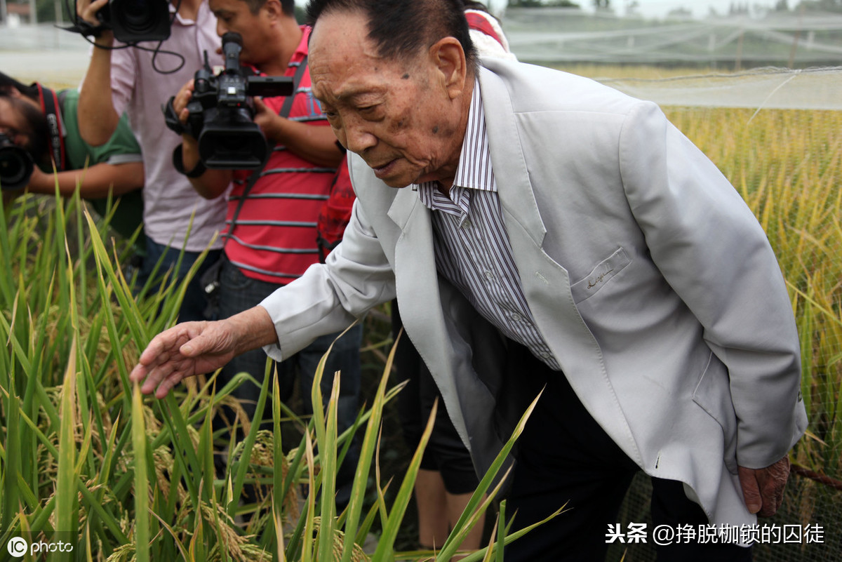 近亲为什么不能结婚？有哪些危害？ 第7张