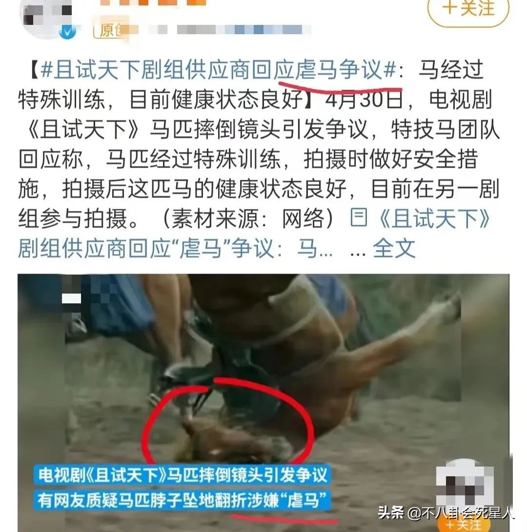 2022上半年热播的十部剧，《梦华录》爆了，《开端》第二 第11张