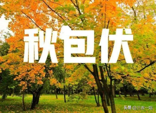 立秋是哪天？公历每年8月7日至9日 第1张