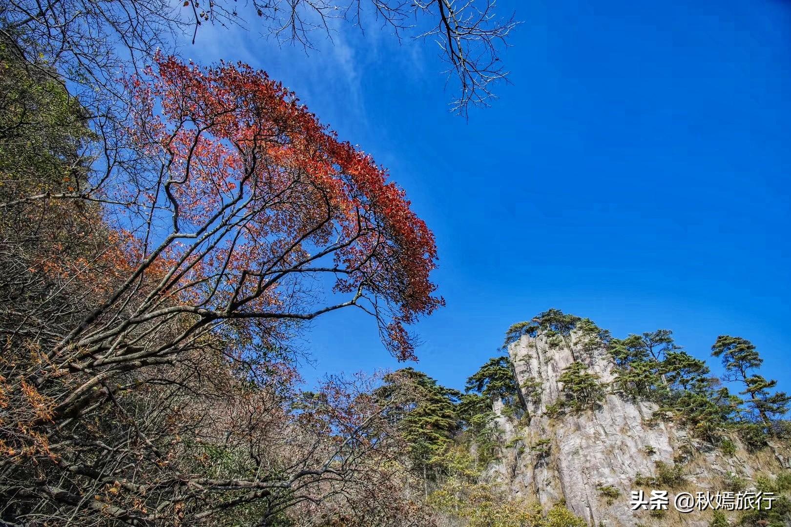 被誉为“天下第一奇山”的黄山，斑斓秋色惹人醉，不愧为旅游胜地 第11张