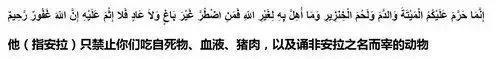 伊斯兰教禁忌（伊斯兰信徒为何不吃猪肉?） 第5张