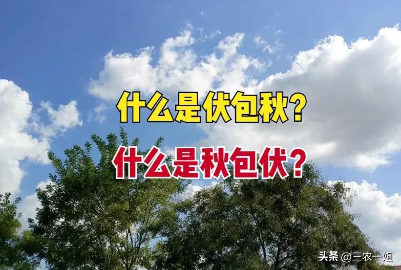 立秋是哪天？公历每年8月7日至9日 第3张