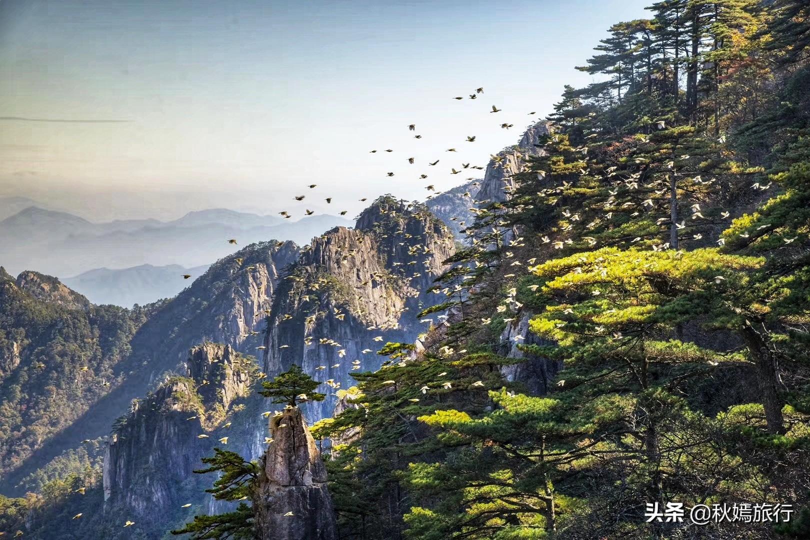 被誉为“天下第一奇山”的黄山，斑斓秋色惹人醉，不愧为旅游胜地 第3张