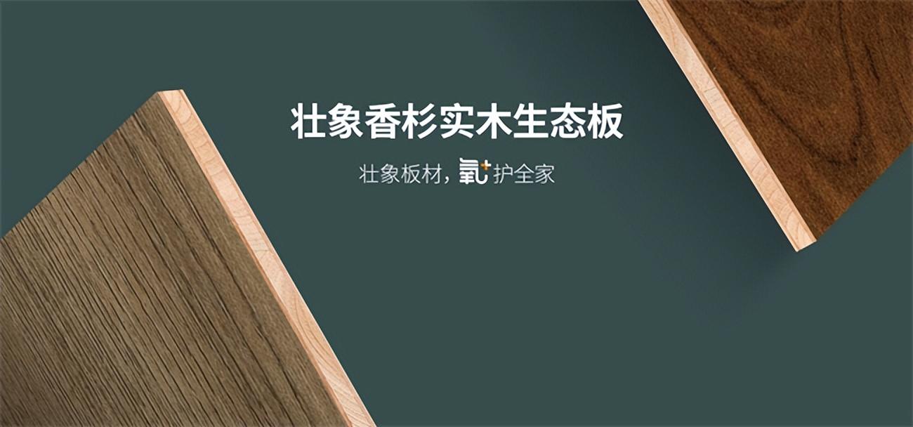 板材十大品牌2023价格一览表（2023年最新生态板十大品牌排行） 第11张