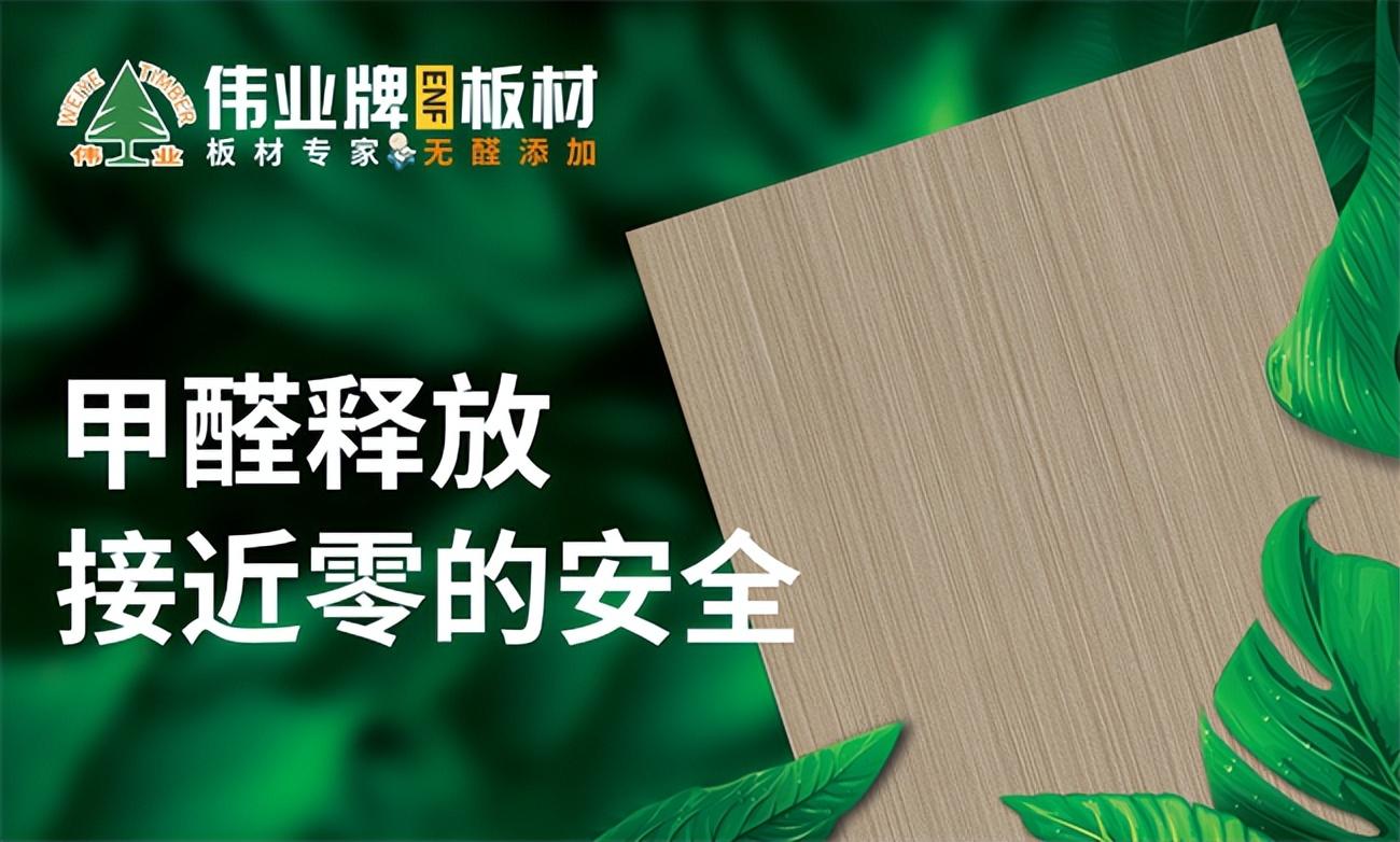 板材十大品牌2023价格一览表（2023年最新生态板十大品牌排行） 第23张